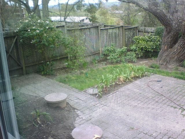 1st image of 5623 Fallen Apple Ln