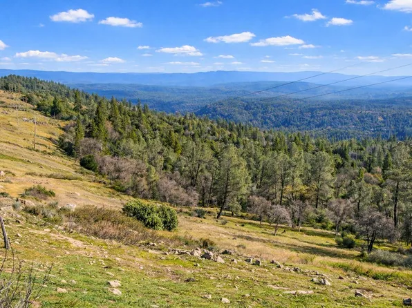 24571 Defender Grade Rd, Pioneer, CA 95666