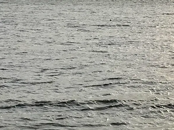 L9 Sea Watch Ests, Kenai, AK 99611