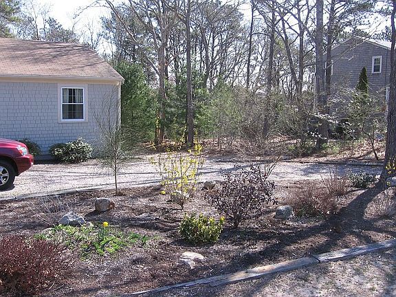Front flower bed