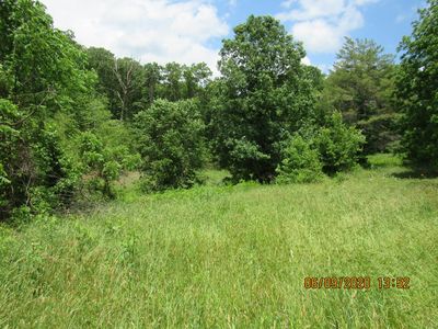 Hugh Jones Rd, Sunbright, TN, 37872