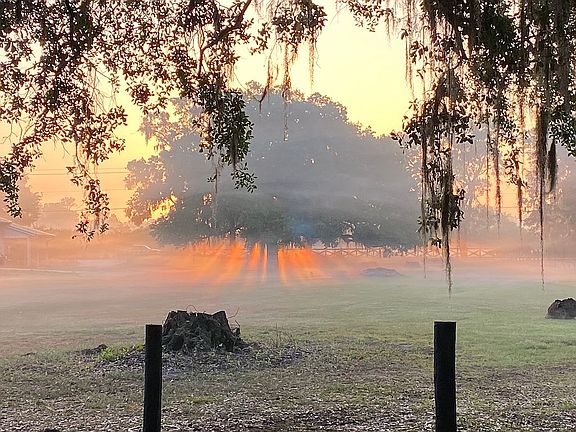 Beautiful Sunrises every day