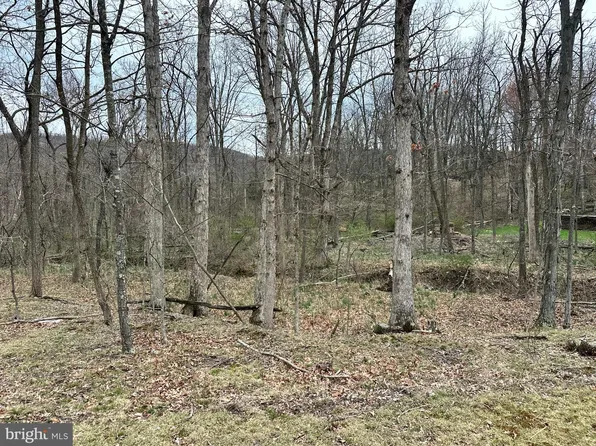 Timberlake Dr Lot 24, New Creek, WV 26743