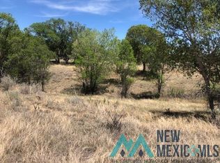 Highway 555, Raton, NM 87740