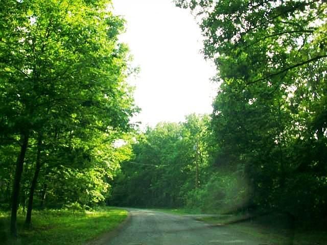 2nd image of 1009 Big Tom Rd