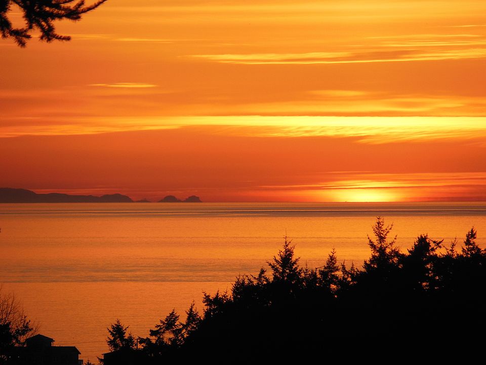 1569 Wildberry Ln, Oak Harbor, WA 98277 Zillow