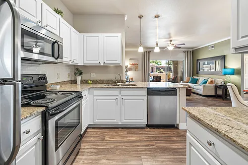 Stonebridge Ranch Apartments Photo 1