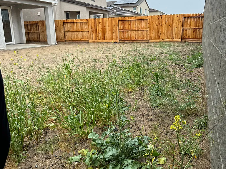 2088 Anders Pl — Photo 43