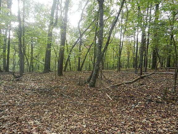 4th image of 0 Timberline Dr Lot E