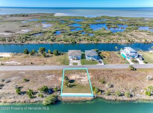3266 Lugustrum Dr, Hernando Beach, FL 34607