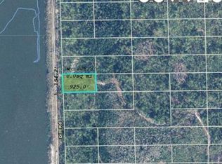 1707 Dill Rd LOT 450, Orlando, FL 32820
