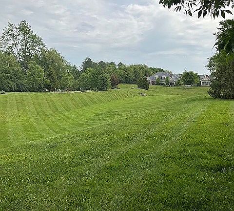 lots of green space