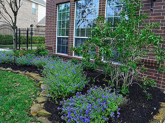 Updated landscaping in the front and backyard.