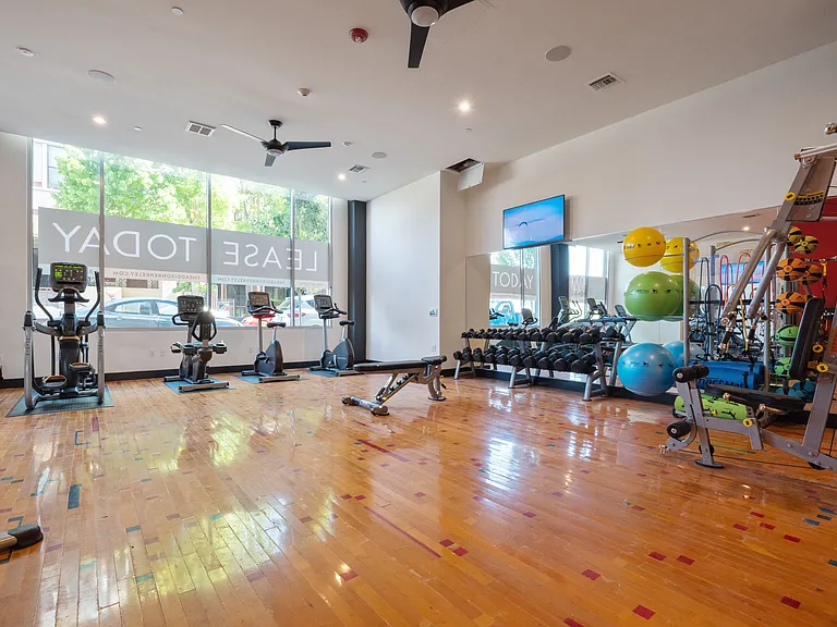 Addison — Photo 17