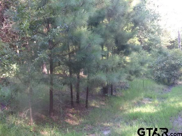 0 Whipporwill Dr, Murchison, TX 75778