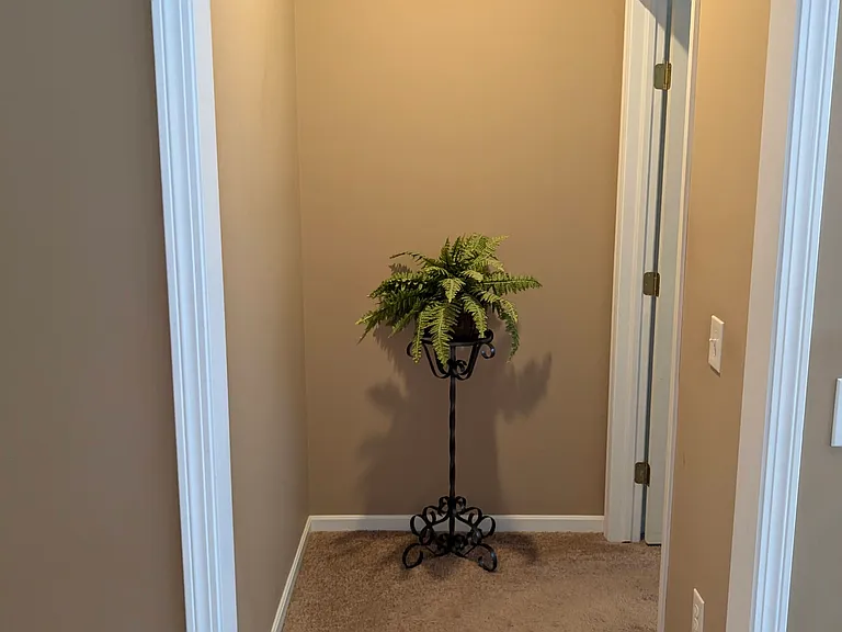 Hall leading to Master Bedroom and Master Bathroom