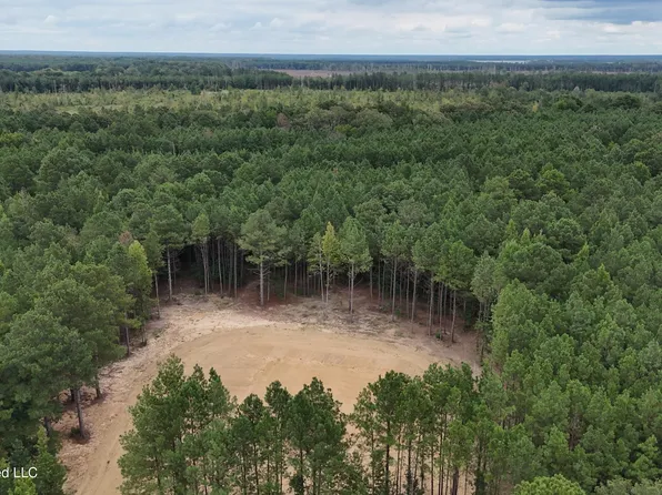 681 Lone Pine Church Rd, Lena, MS 39094
