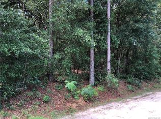 3062 E Robert St, Inverness, FL 34453