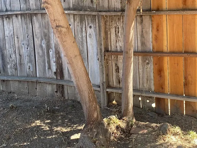 126 Adobe Ct — Photo 20