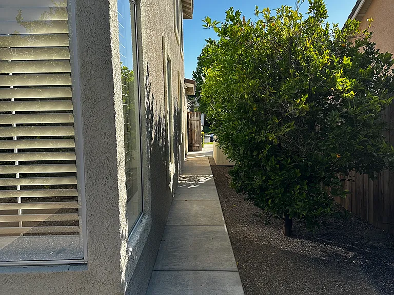 Side Yard