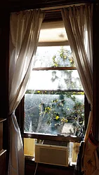 Rented by Harriet Brand, LREB