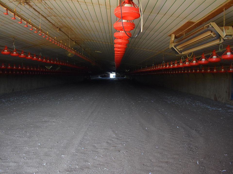 10401 Jack Creek Rd, Havana, AR 72842 MLS 23021372 Zillow