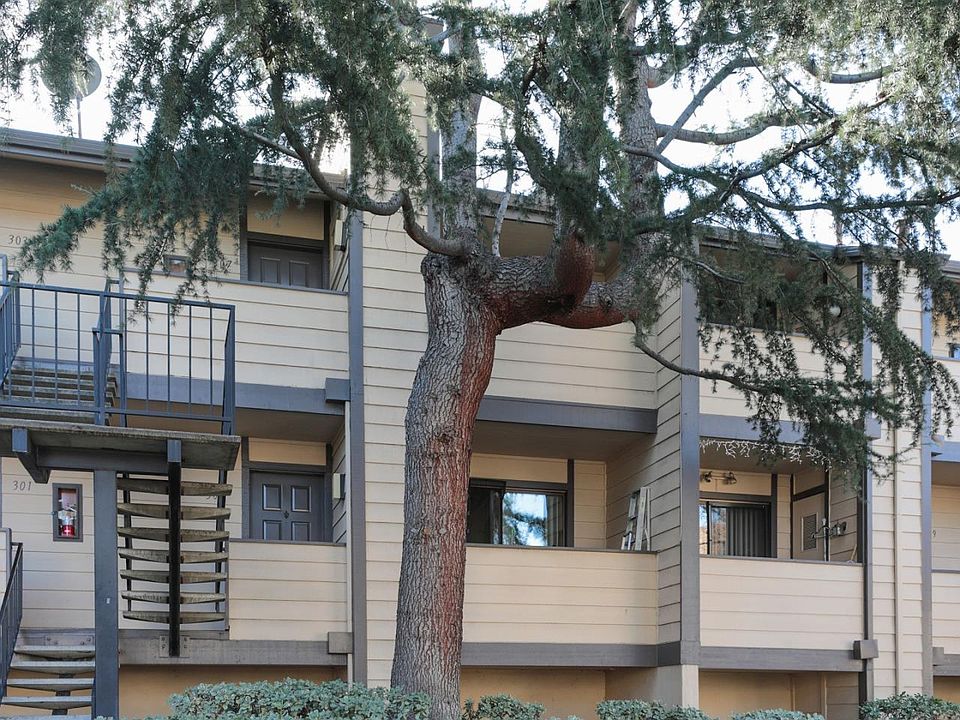 1st image of 305 Stonegate Cir