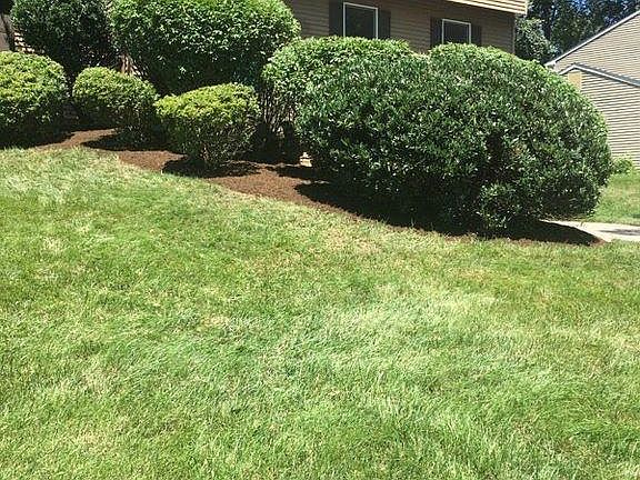 LUSH FRONT LAWN AND LANSCAPING