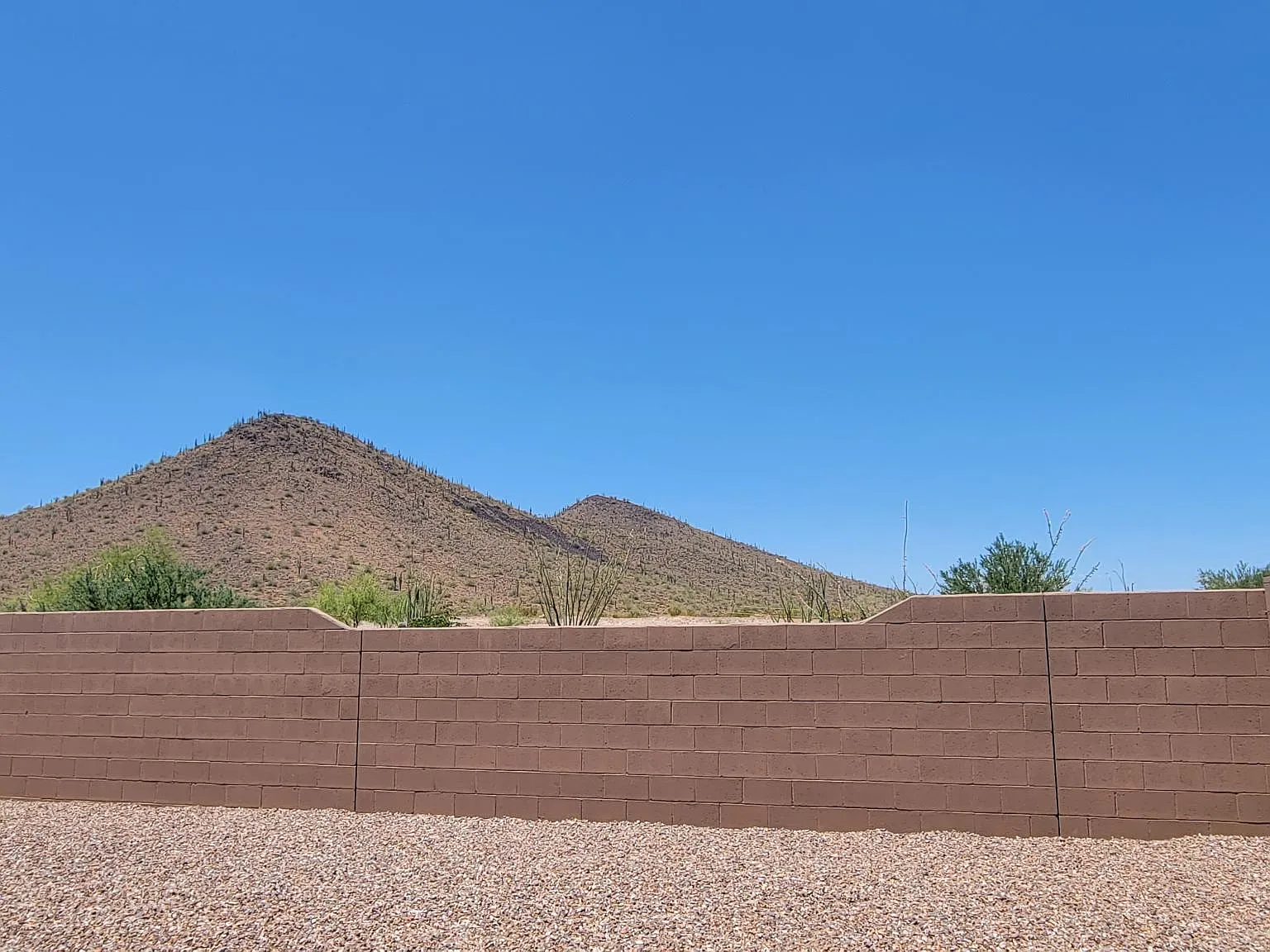3 bed, 1760 sqft, $2,350 — Photo 3