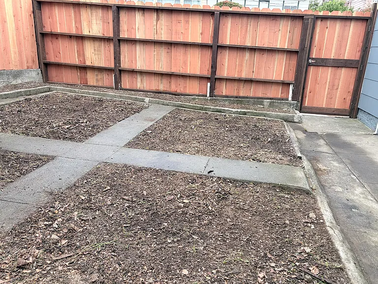 Back yard with newly installed fence