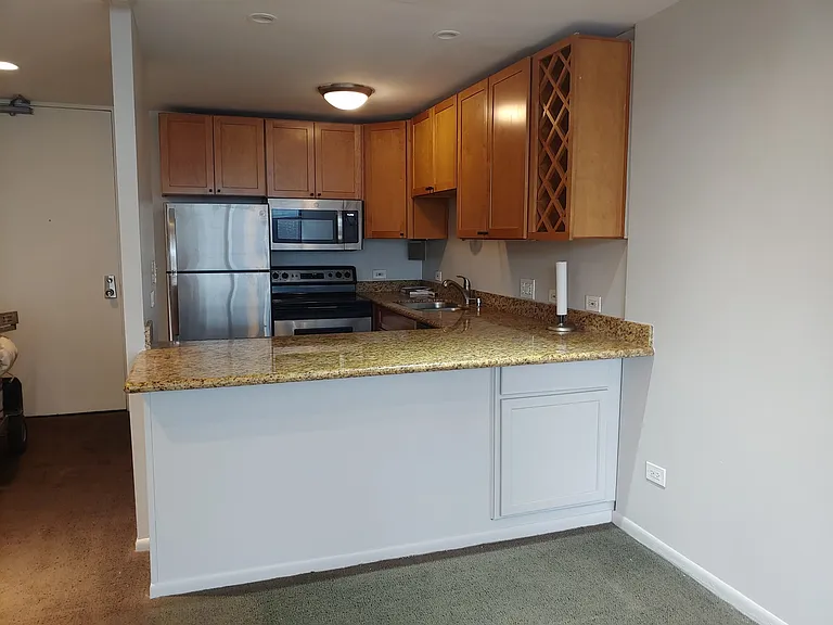 233 E Erie St #2409 — Photo 9