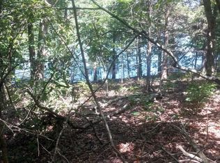 31 Eagles Bluff Rd, Shell Knob, MO 65747