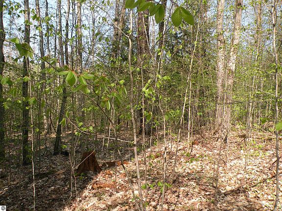 4th image of Tbd Cedar River Dr