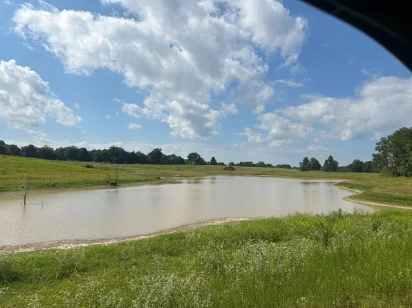 550 Clay County Rd, Piggott, AR 72454