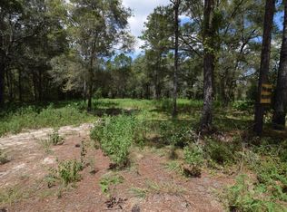 16083 SW 22nd Ln, Ocala, FL 34481