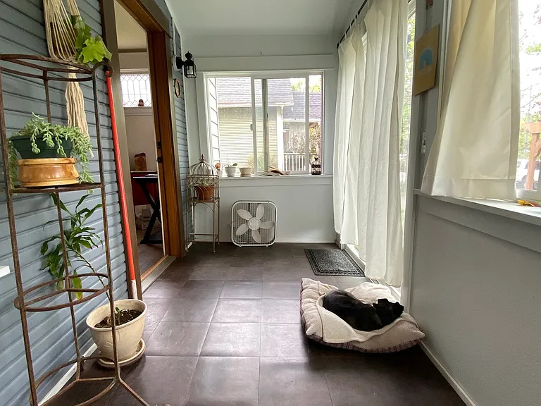 Adorable pup not included :)