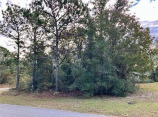3038 W Doronicum Pl, Citrus Springs, FL 34433