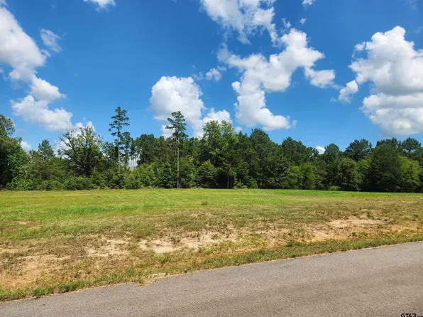 20035 Dews Ct Lot 4, Troup, TX 75789