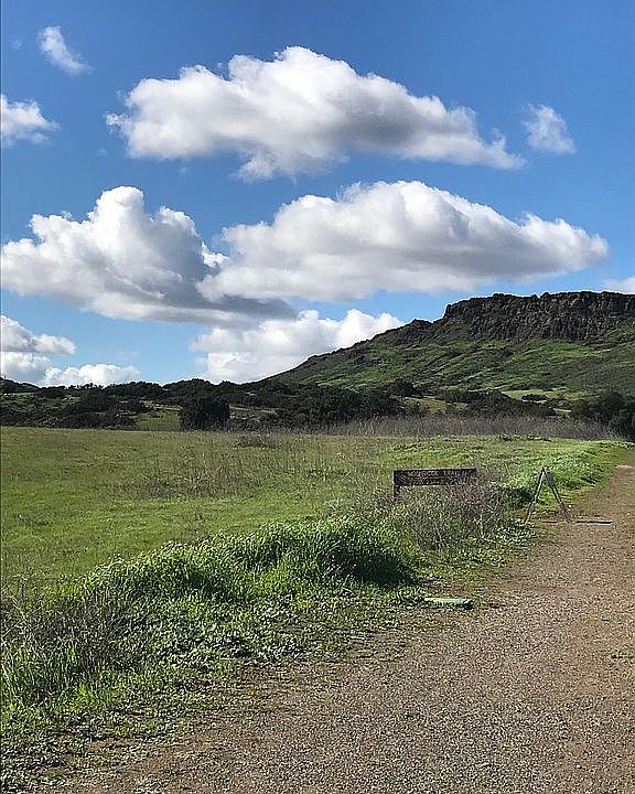 Wildwood Open Space Park