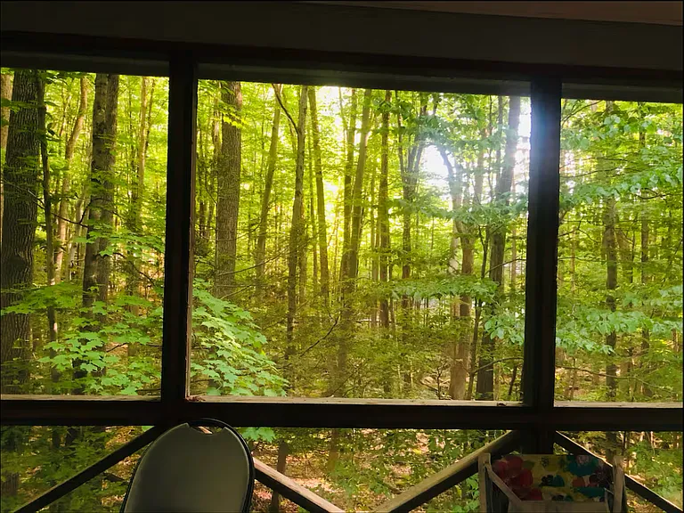 3550 Dogwood Ct — Photo 42
