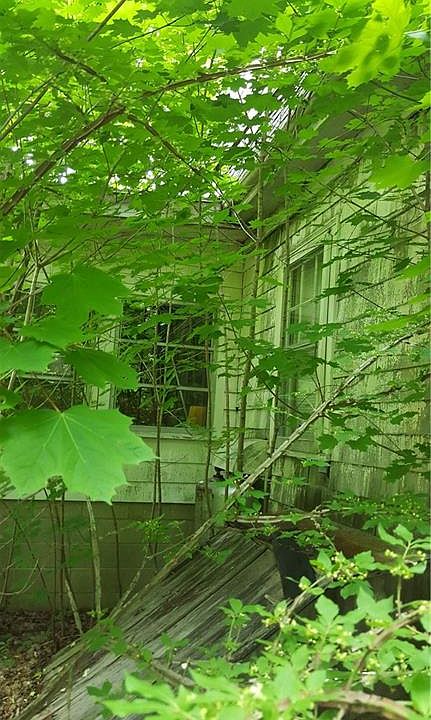 2nd image of 57 Spring St