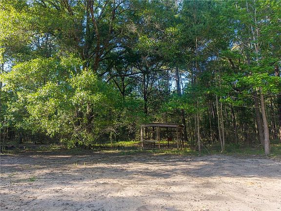 5th image of 22251 Leemans Rd
