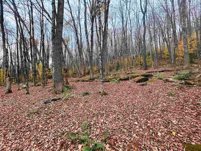 00 Alpendorf Avenue #88, Readsboro, VT, 05350