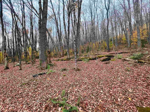 00 Alpendorf Avenue #88, Readsboro, VT 05350