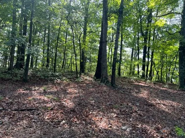Tr10 Wendy Hill Rd, Talking Rock, GA 30175