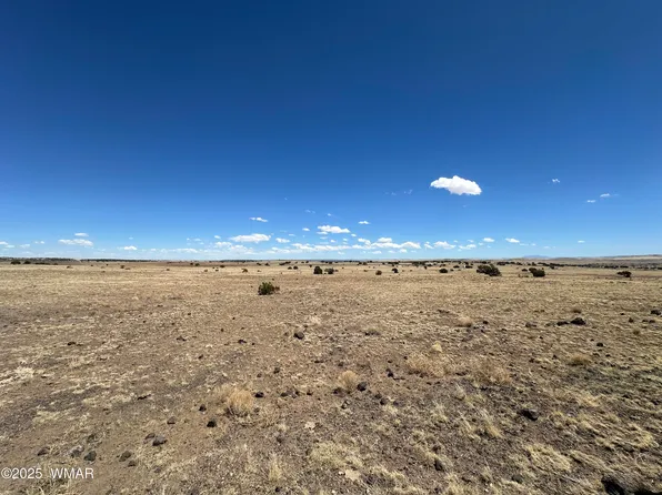 County Road 5132, Concho, AZ 85924