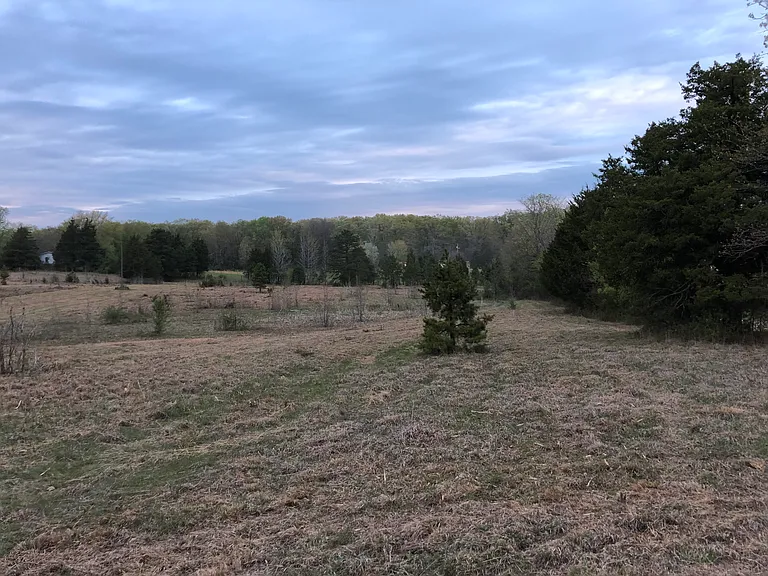 940 County Road 534 — Photo 11