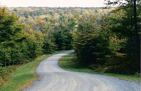 1st image of Lot 84  The Woods At Duck Harbor  5 Acres