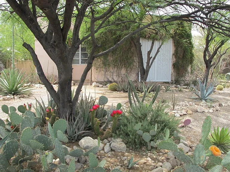 2315 W Wagon Wheel Dr — Photo 2