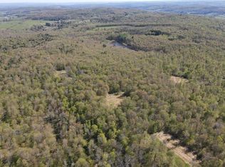 271 Beeman Hill Rd, Greene, NY 13778